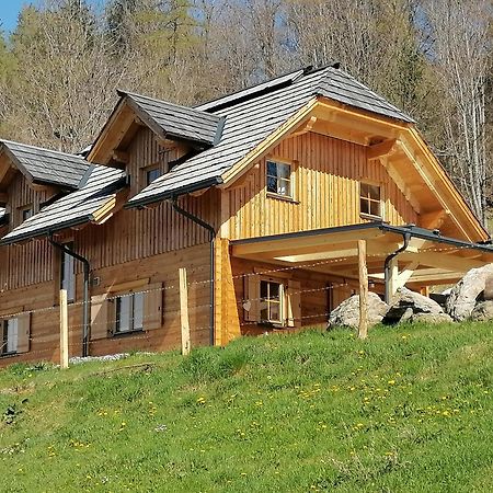 Laerchenhaus ,,Unterer Brodl" Villa Sankt Peter am Kammersberg Exteriör bild