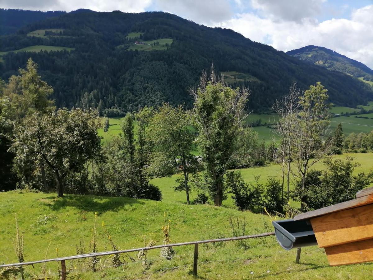 Laerchenhaus ,,Unterer Brodl" Villa Sankt Peter am Kammersberg Exteriör bild