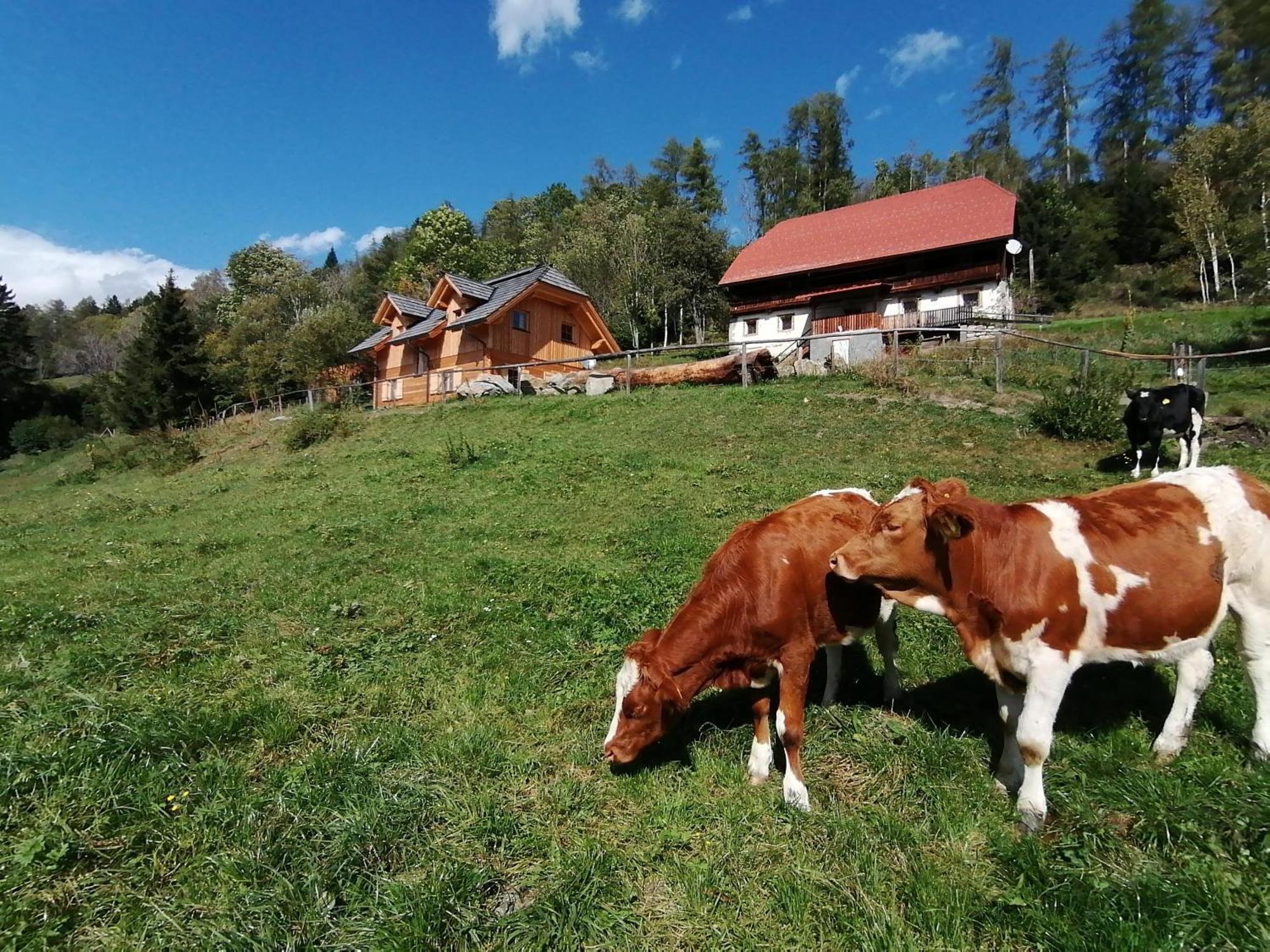 Laerchenhaus ,,Unterer Brodl" Villa Sankt Peter am Kammersberg Exteriör bild