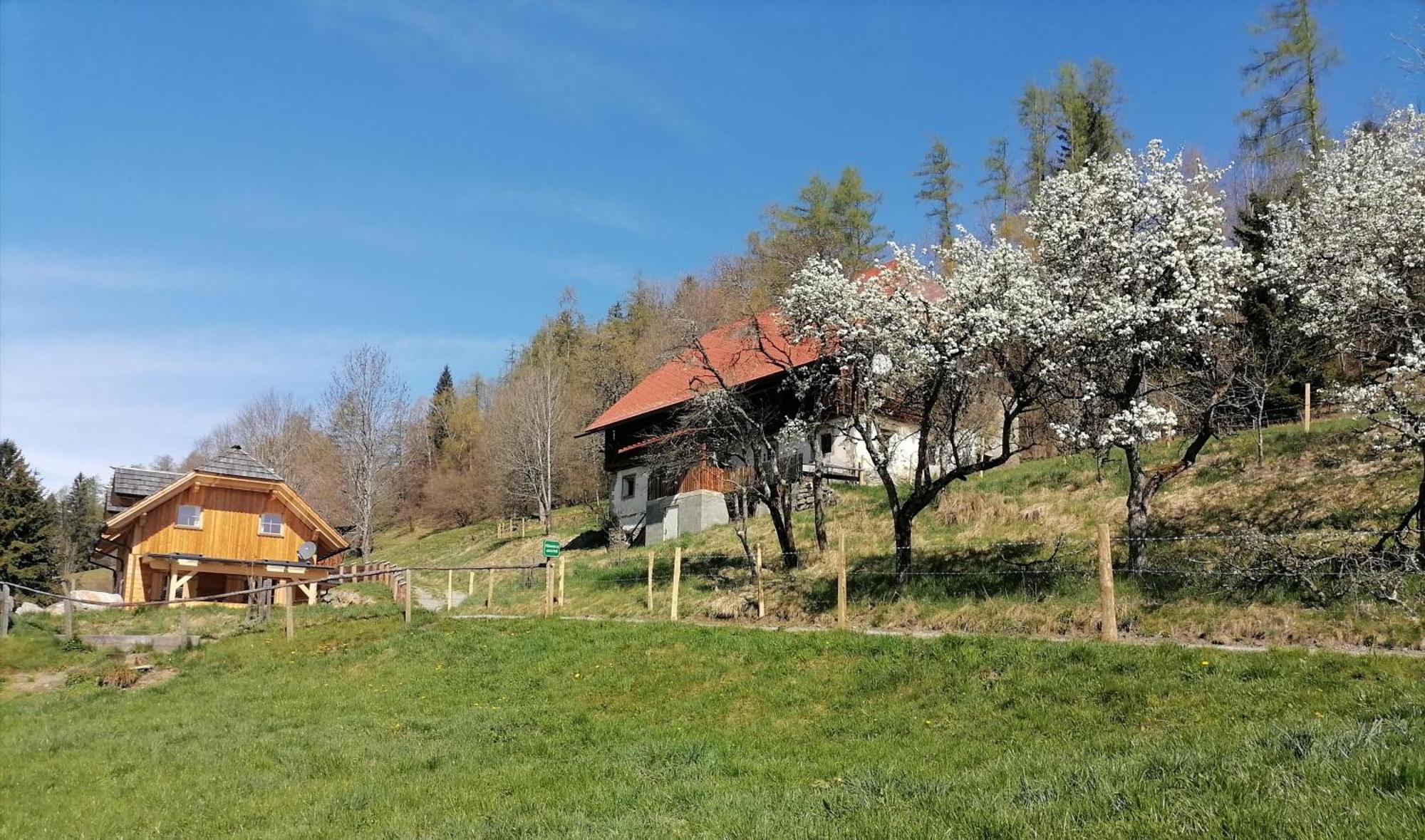 Laerchenhaus ,,Unterer Brodl" Villa Sankt Peter am Kammersberg Exteriör bild