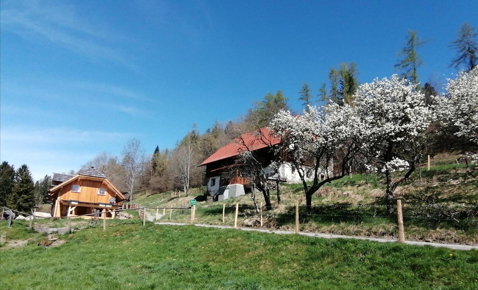 Laerchenhaus ,,Unterer Brodl" Villa Sankt Peter am Kammersberg Exteriör bild