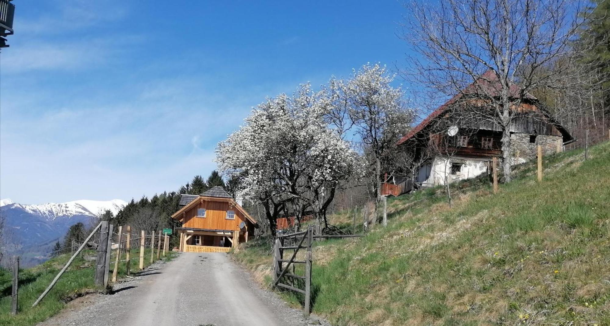 Laerchenhaus ,,Unterer Brodl" Villa Sankt Peter am Kammersberg Exteriör bild